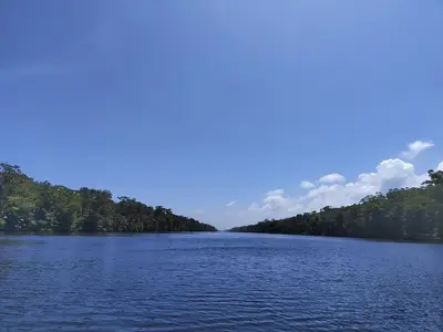 a view of a lake with trees in the distance at Hospedaje Meryscar in Tortuguero