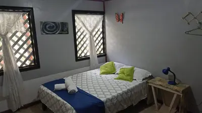 a bedroom with a bed with green pillows and a window at Hospedaje Meryscar in Tortuguero