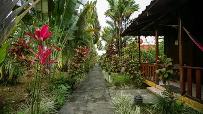 a garden path leading to a house at Hotel Rancho Cerro Azul in Fortuna