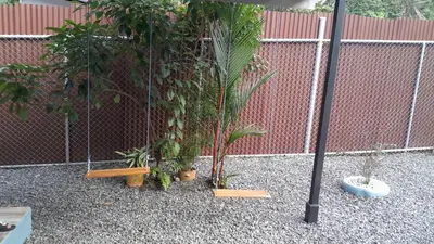 a group of plants in a courtyard with a fence at Cabaña que Tuanis in Fortuna
