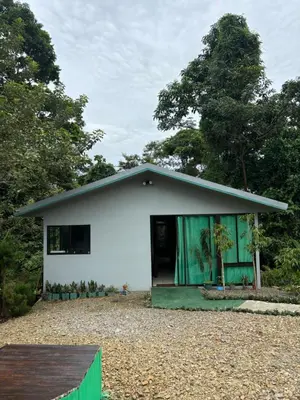 a small white house with a tree in front of it at Cabaña Magui. in Aguas Zarcas