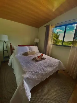 a bedroom with a large bed with a window at Peace Garden Apartment in Monteverde Costa Rica