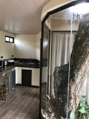 a kitchen with a glass door leading into a room at Casa del Árbol in Quepos