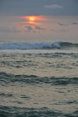 a surfer riding a wave in the ocean at sunset at Indigo Yoga Surf Resort in Mal País