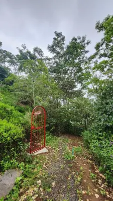 a red gate in front of some trees at Cabaña Vista de Oro 1 in Paraíso