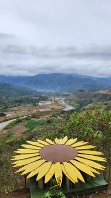 a statue of a sunflower on top of a hill at Cabaña Vista de Oro 1 in Paraíso