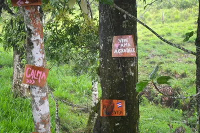 two trees with signs on them in a forest at Rincón Sereno San Carlos in La Marina
