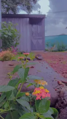 Gallery image of La Casa del Rualdo in Dulce Nombre