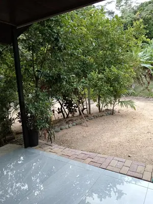 a view from the outside of a house with trees at Casa La Montaña in Sámara