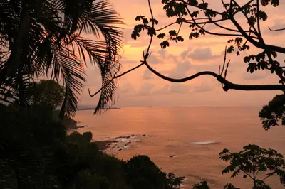 a view of the ocean at sunset from a tree at Tinamaste in Uvita