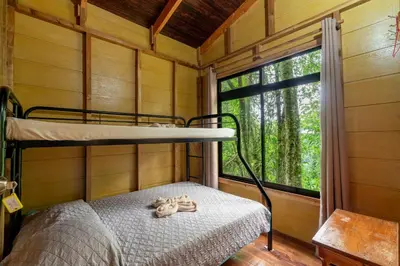 a bedroom with a bunk bed in a room with a window at Cabaña El Manzano: Vistas increíbles y Mirador in Turrialba