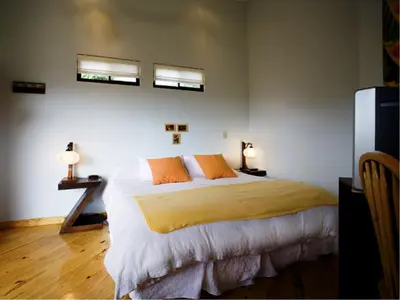 a bedroom with a large bed with two orange pillows at Out of Bounds Boutique Hotel in San José