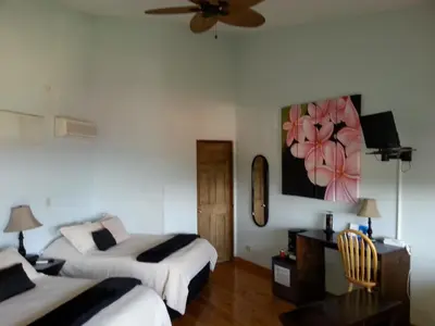 a hotel room with two beds and a ceiling fan at Out of Bounds Boutique Hotel in San José