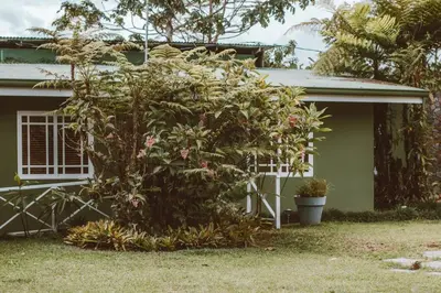 a small tree in front of a house at Cabin at Los Titos Coffee Farm in Recreo