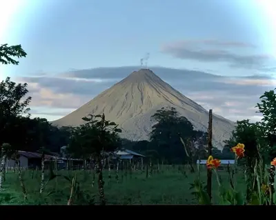 a mountain in the distance with a field and flowers at Cabaña la Corteza in Tanque