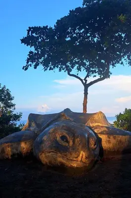 a statue of a turtle laying on the ground with a tree at Hotel Hibiscus Cabina 4 in Playa Junquillal