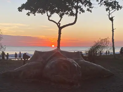 a sculpture of a skull on the beach with a tree at Hotel Hibiscus Cabina 4 in Playa Junquillal