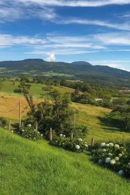 a field of green grass with mountains in the background at La Cabaña in Heredia