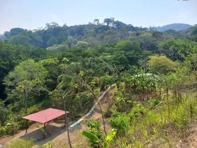a picnic table on a hill in a forest at Casa el Colibrí in Naranjo