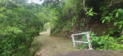 a sign on a dirt trail in the woods at Casa el Colibrí in Naranjo
