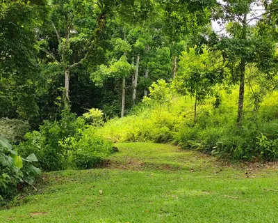 a path through a lush green field with trees at Ceibo Lodge, great birdwatching in Bijagual