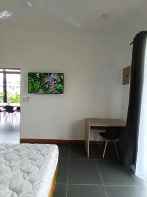 a bedroom with a bed and a tv on the wall at Toucan home in Fortuna