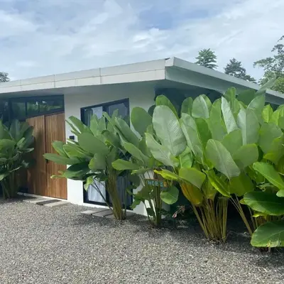 Toucan home