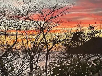 a sunset with trees in front of a body of water at Trendy Condo with Stunning Ocean Views and Exclusive Beach Club Access in Las Catalinas in Playa Danta