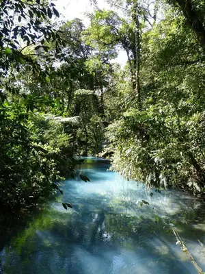 a river in a forest with blue water and trees at Cabinas Río Frío in San Rafael