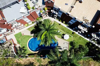 an overhead view of a swimming pool and palm trees at Pool and Private rooftop access in town! in Tamarindo