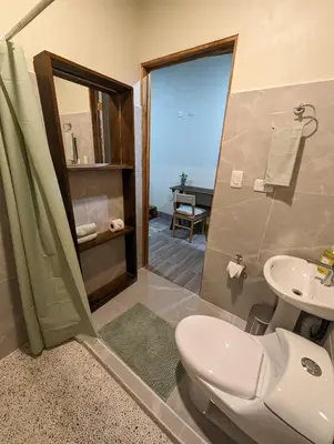 a bathroom with a toilet and a sink and a shower at Yellow House - Country house near La Fortuna in San Ramón