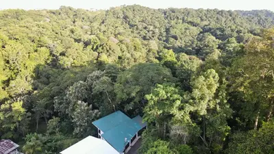 an overhead view of a forest with a blue roof at Casa Tucan in Quepos