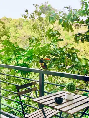 a bird sitting on top of a fence at Casa Tucan in Quepos