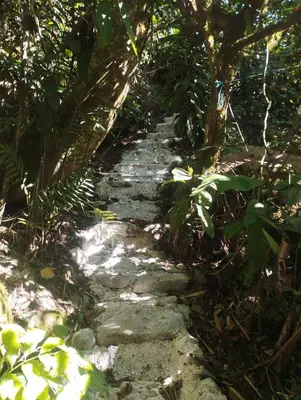 a stone path in the middle of a forest at Maison tranquille in Rivas