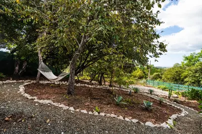 a hammock hanging from a tree in a garden at Oceanview and Private Pool 8 mins to Downtown in Hernández