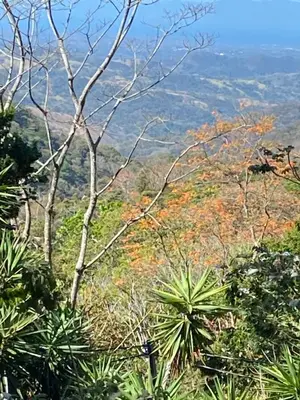 a view from the top of a mountain with trees at Villa Magallanes in San Ramón