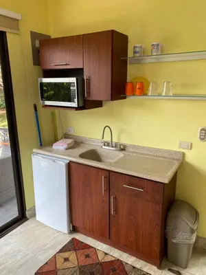 a kitchen with a sink and a microwave at Villa Magallanes in San Ramón
