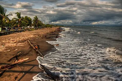 a beach with palm trees and the ocean at Escape to Pier Sands Casita#2- Close to the Beach. in Puntarenas