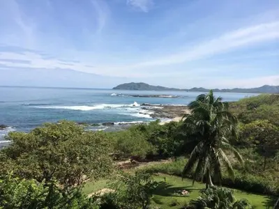 a beach with a palm tree and the ocean at Beachfront, Sunset, & Ocean Views with Gas Grill in Tamarindo