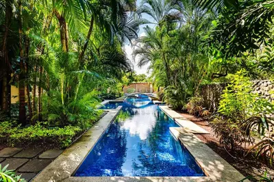 a swimming pool in a garden with palm trees at Sunset view roof terrace, steps to the beach! in Tamarindo