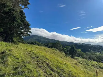 a grassy hill with a view of a mountain at Aires de Quetzales in Concepción