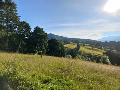 a field of grass with trees and mountains in the background at Aires de Quetzales in Concepción
