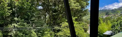 a window with a view of a forest of trees at Freddy`s Place B&B in Monteverde Costa Rica