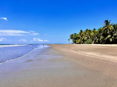 a sandy beach with palm trees and the ocean at Ocean Melody in Uvita