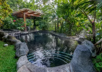 a pool in the middle of a garden with trees at Hotel El Silencio del Campo in Fortuna