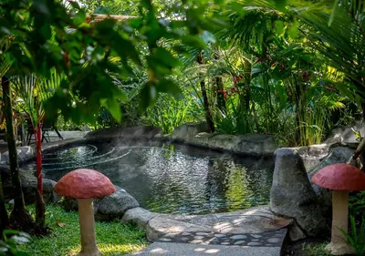 a pond in a garden with mushrooms in front of it at Hotel El Silencio del Campo in Fortuna