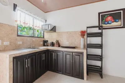 a kitchen with a sink and a counter top at Rio Celeste Birds Garden Apartment con Aire Acondicionado Comodidad en un Entorno Natural 1 in Upala