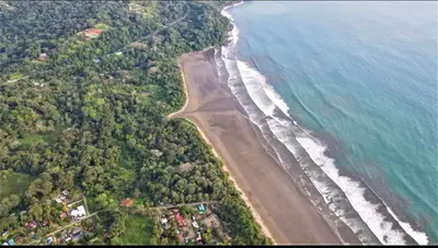 an aerial view of a beach and the ocean at Cabañas MOHES ballena in Uvita