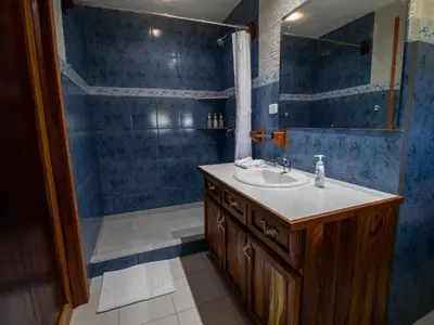 a blue bathroom with a sink and a shower at Mountain Wonders Chalet in Monteverde Costa Rica
