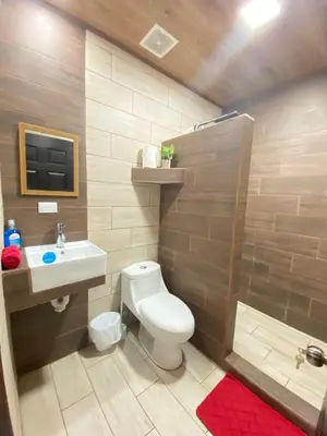 a bathroom with a toilet and a sink and a shower at Apartamentos H Gonzalez. Wifi A/C free parking in San Rafael